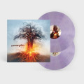 2LPAmorphis / Skyforger / Marbled / Vinyl