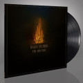 LPWailin Storm / Arsonist / Vinyl