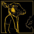 2LPShakey Graves / Roll the Bones X / Vinyl / 2LP