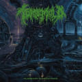 LPTomb Mold / Planetary Clairvoyance / Vinyl