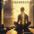 CDSkull & Crossbones / Sungazer / Digipack