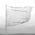 CDDool / Shape Of Fluidity / Digipack