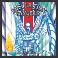 CDDesolation Angels / While The Flame Still Burns / Digipack