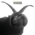 CDCult / Cult
