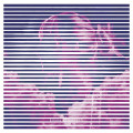 LPElisabeth Emma / Emma Elisabeth Live At Clouds Hill / Vinyl