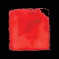 2LPSlavia Palth / Last Chance To See / Vinyl / 2LP