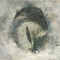 CDSuma / Ashes