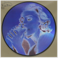LPMadonna / Erotica / Picture / Single / Vinyl
