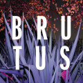 CDBrutus(BEL) / Burst