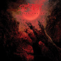 LPSuffocation / Despise The Sun / Blood Red With Mustard Y&B / Vinyl