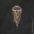 CDMidas Fall / Cold Waves Divide Us