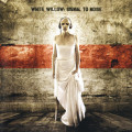 CDWhite Willow / Signal To The Noise