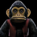 LP / Breemen Edo Van / Monkey / Coloured / Vinyl