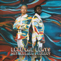 CDBlue Lab Beats / Motherland Journey