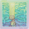 CDSpill Canvas / Conduit