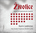 CDLednick Karin / ivotice:Obraz (po)zapomenut tragdie / MP3