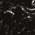 LPSek / Sek IV / Vinyl