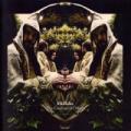CDMidlake / Courage Of Others
