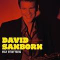 CDSANBORN DAVID / Only Everything