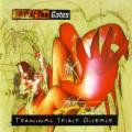 CDAt The Gates / Terminal Spirit Disease