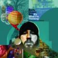 CDBadly Drawn Boy / It's What I'm Thinking