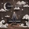 CDDixon Gabe / One Spark