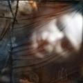 CDDin Brad / Dor / Digipack