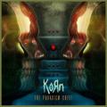 CDKorn / Paradigm Shift