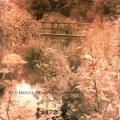 CDRed House Painters / Red House Painters 2