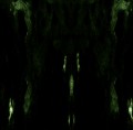 CDImpetuous Ritual / Unholy Congregation Of Hypocritical...
