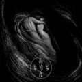 CDAevangelist / Writhes In The Murk