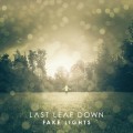CDLast Leaf Down / Fake Lights