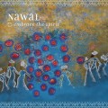 CDNawal / Embrace The Spirit