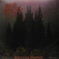 LPObscure Infinity / Putrefying Illusions / Vinyl