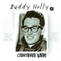 LPHolly Buddy / Greatest Hits / Vinyl