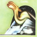 CDCamel / Camel