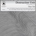 CDDestruction Unit / Deep Trip