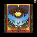 LPGrateful Dead / Aoxomoxoa / Vinyl.