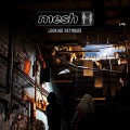 CDMesh / Looking Skyward