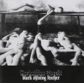 CDCarpathian Forest / Black Shining Leather