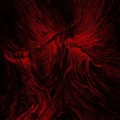 CDDeath Fetishist / Clandestine Sacrament / Digipack