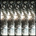 LPPontiak / Dialectic Of Ignorance / Vinyl