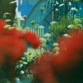 CDPulled Apart By Horses / Haze