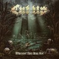 CDCut Up / Wherever They May Rot / Digipack