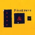 2LPPinegrove / Everything So Far / Vinyl / 2LP