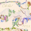 CDRobinson Chris Brotherhood / Barefoot In The Head / Digipack