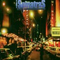 CDSpinatras / Midnight.Com