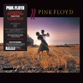 LPPink Floyd / A Collection Of Great Dance Songs / Vinyl