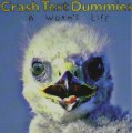 CDCrash Test Dummies / Worm's Life