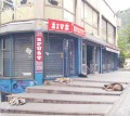 CDiv Kvety / Sp / Digisleeve